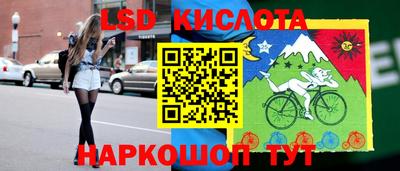 стаф Гай
