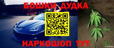 гидра Гагарин