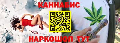 стаф Гай