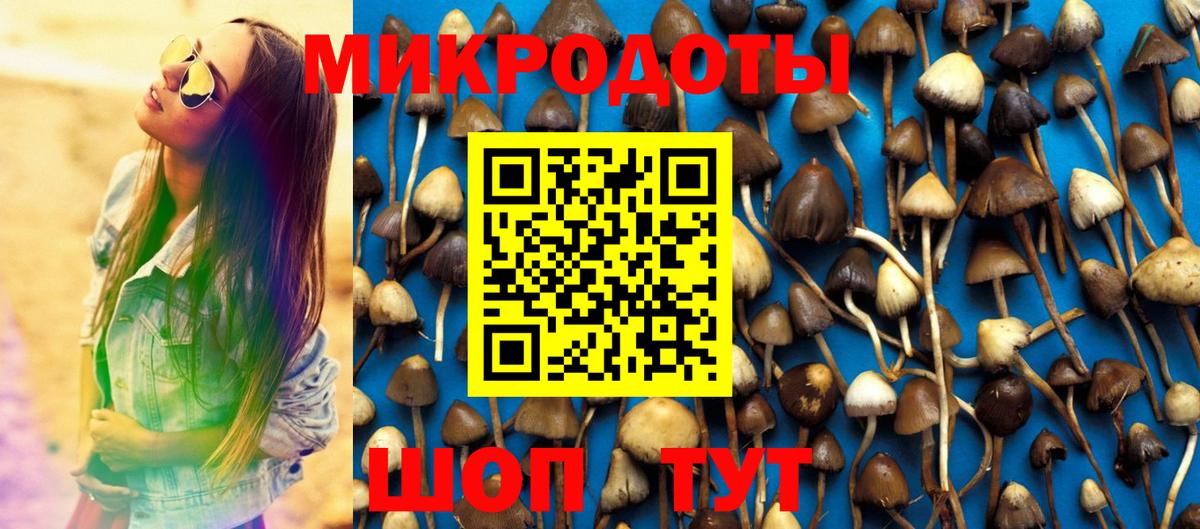 Галлюциногенные грибы Cubensis  Вход с VPN  Галлюциногенные грибы Cubensis  Нижний Новгород 